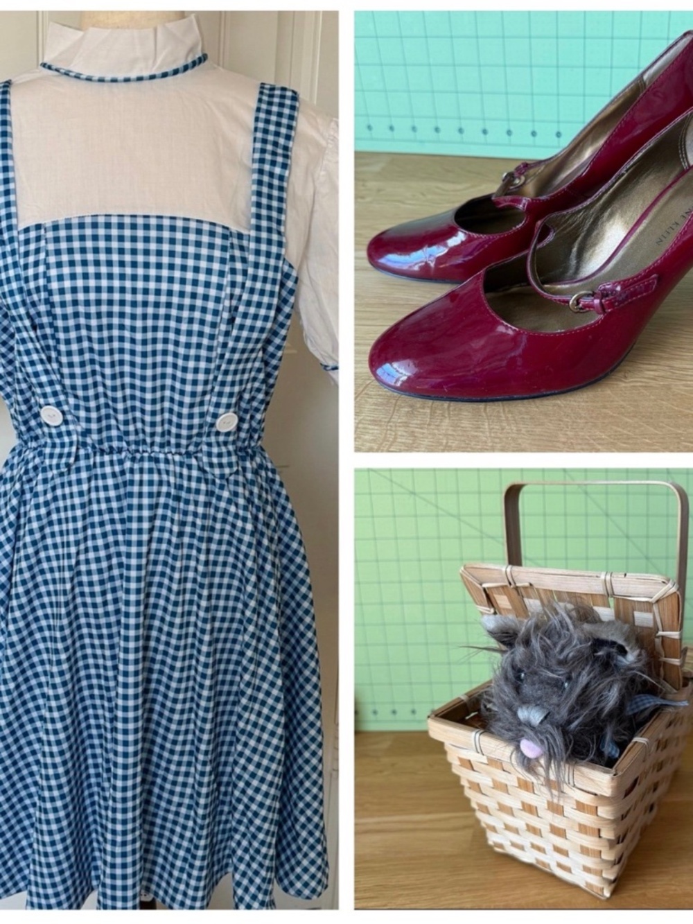 Complete Women's Dorothy Costume